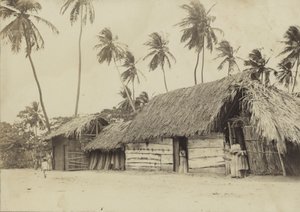 Bridgetown, Barbade, huttes - English Photographer
