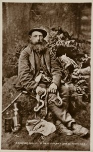 Brusher Mills, un attrapeur de serpents de la New Forest