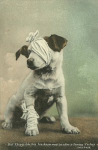 Mais des choses comme ça, vous savez, doivent être après une célèbre victoire - English Photographer