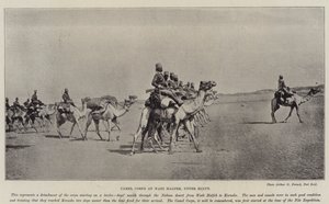 Corps de chameaux à Wadi Halfeh, Haute-Égypte - English Photographer