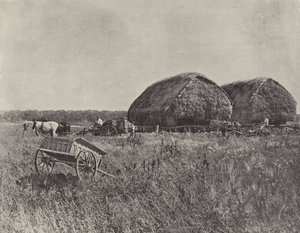 Station de Canning Downs - English Photographer