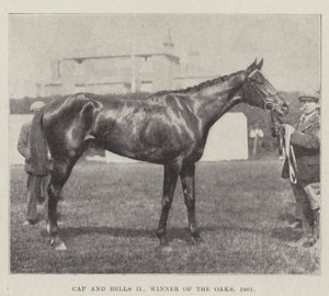 Cap and Bells II, vainqueur des Oaks, 1901 - English Photographer