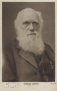 Charles Darwin (1809-1882), naturaliste anglais - English Photographer