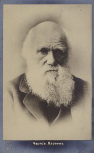 Charles Darwin (1809-1882), naturaliste anglais