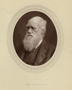 Charles Robert Darwin - English Photographer