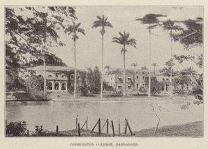 Collège Codrington, Barbade - English Photographer