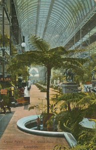 Palais de Cristal, La Grande Nef, Londres - English Photographer