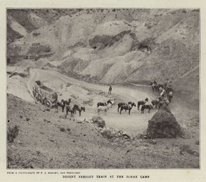 Train de marchandises dans le désert au camp de borax - English Photographer