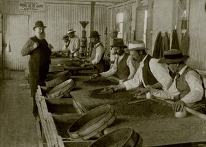Diamants et saleté - English Photographer