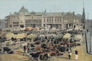 Marché du matin, Johannesburg - English Photographer