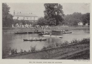 Île Eel Pie, juste vendue aux enchères - English Photographer