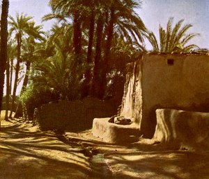 Égypte - Karnak - English Photographer