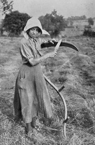 Récolte - Membre de la Réserve volontaire des femmes de Leicester aidant un fermier, photographies du War Office, 1916