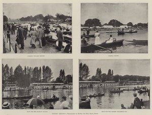 Régate de Henley