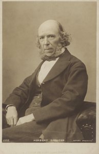 Herbert Spencer, philosophe, théoricien politique, biologiste et sociologue anglais - English Photographer
