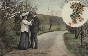 Chèvrefeuille - Affection généreuse et dévouée