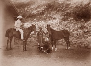Chevaux à Simla, Queen Mab et Gladys - English Photographer