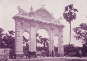Hôpital pour animaux, Bombay