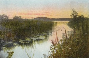 Hoveton Broad - English Photographer