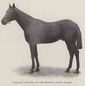 Kilcock, vainqueur de la Queens Stand Plate