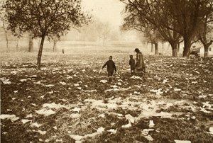 Herbe jonchée de détritus sur Hampstead Heath le lendemain d