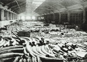 London Docks : entrepôt d
