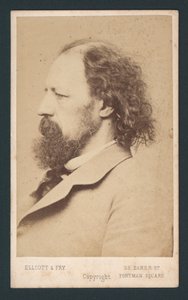 Lord Tennyson, carte de visite - English Photographer