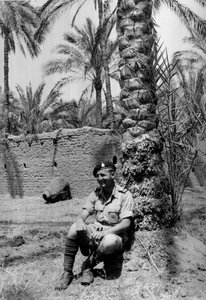 Louis Cohen, d