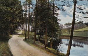 Lumsdale