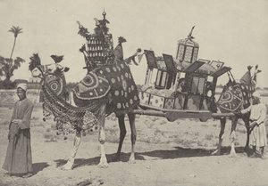 Cérémonie de mariage au Caire - English Photographer