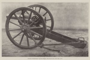 Canon de montagne à tir rapide Maxim-Nordenfeldt pour le Cap - English Photographer