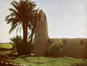 Mosquée à Medamut (banlieue de Thèbes) - English Photographer