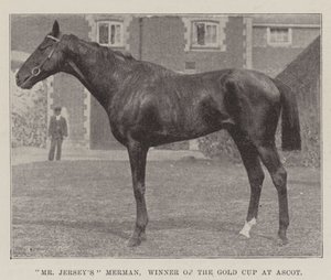 Le Merman de M. Jersey, vainqueur de la Gold Cup à Ascot - English Photographer