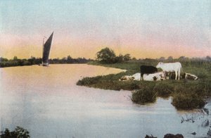 Sur la Bure - English Photographer