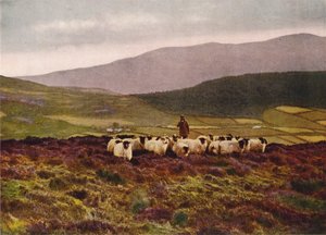 Sur les montagnes de Mourne, dans le comté de Down (photo couleur) - English Photographer