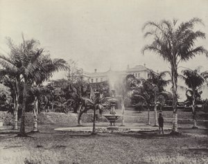 Palmiers et fontaine, jardins botaniques, Brisbane - English Photographer