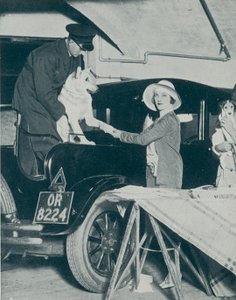 Garez votre chien
