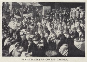 Écosseurs de pois à Covent Garden, Londres - English Photographer