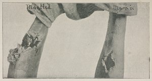 Photographie de l