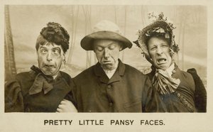 Jolies petites faces de pensées - English Photographer