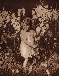 Princesse Elizabeth dans le jardin - English Photographer