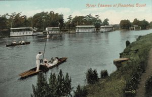 Balade en barque sur la Tamise et Hampton Court