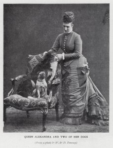 Reine Alexandra et deux de ses chiens - English Photographer