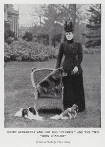 Reine Alexandra avec son chien, Plumpie, et ses deux épagneuls King Charles - English Photographer
