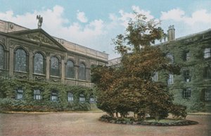 Queens College - English Photographer