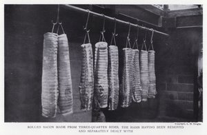Bacon roulé fait à partir de côtés trois-quarts, les jambons ayant été retirés et traités séparément