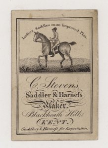 Saddler et Harness Maker, C Stevens, carte de visite - English Photographer
