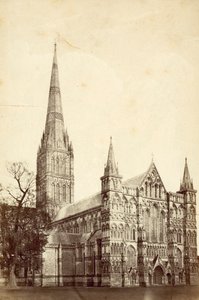 Cathédrale de Salisbury - English Photographer