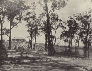 Scène sur la route de Gembrook, Victoria - English Photographer