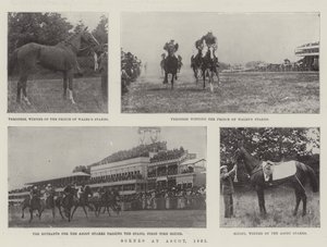 Scènes à Ascot, 1901 - English Photographer